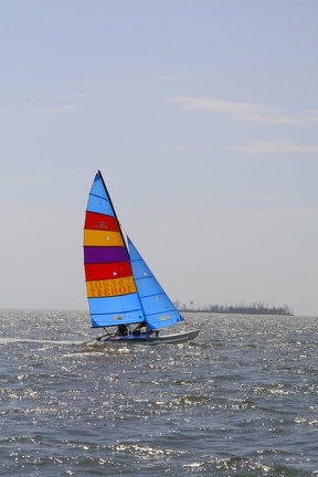 HOBIE 163