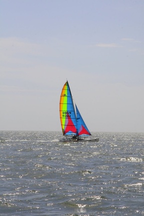 HOBIE 168