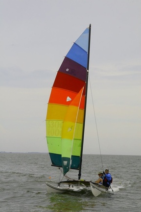 HOBIE 174