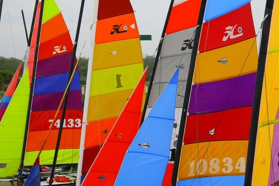 HOBIE 29