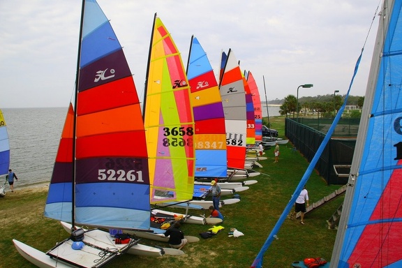 HOBIE 31