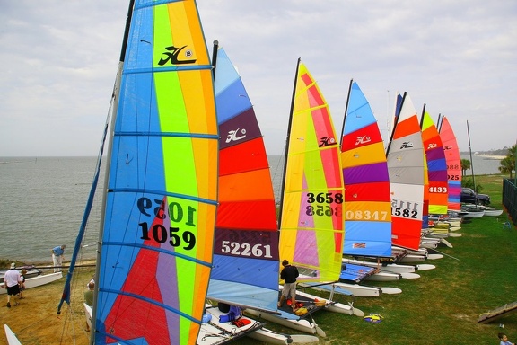 HOBIE 40