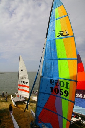 HOBIE 60