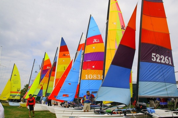 HOBIE 65