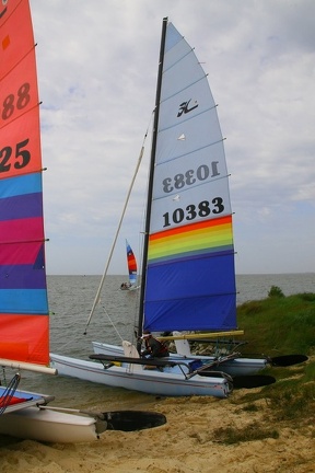 HOBIE 77