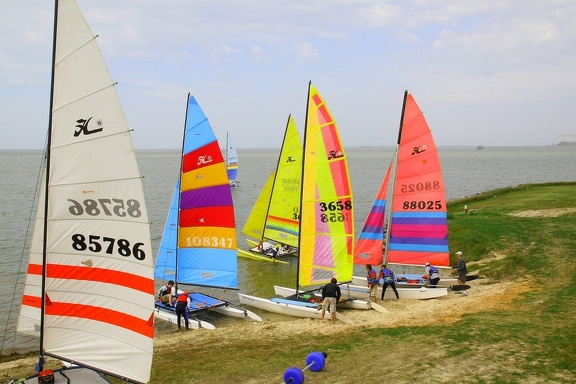 HOBIE 83