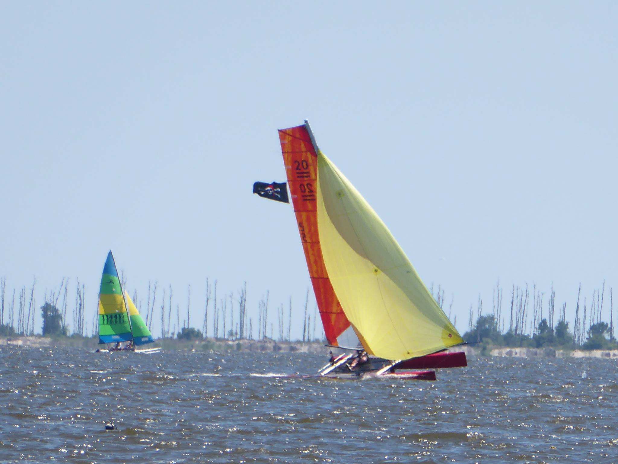 ocean racing catamaran association